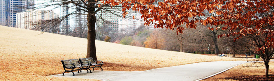 311 CRM is the ultimate tool for Local Governments and Municipalities